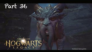 Hogwarts Legacy  Part  36 San Bakars Trial  Graphorn  Ultra HD 4K 60 FPS Gameplay  PS5 [upl. by Adranoel]