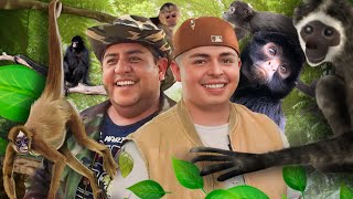 Comi bananas con MONOS SALVAJES de Jiquilisco El Salvador [upl. by Salkcin876]