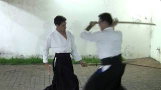 Ogawa Ryu  IBS  ASB  Kenjutsu 2015  剣術 [upl. by Attelra]