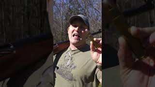 700 BMG Vs Grizzly Bear Kentucky Ballistics [upl. by Suanne]