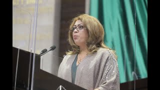 Dip Karina Rojo PT  Análisis del 2do Informe de Gobierno Política Interior [upl. by Nosremaj]