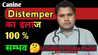 Canine distemper का treatment 100  सम्भव  Sign and Symptoms of Canine Distemper Doctor Pets [upl. by Paddy]