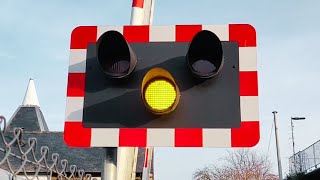 Teynham Level Crossing Kent [upl. by Paugh]