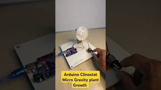 Grow plant in micro gravity using Arduino Clinostat arduino microgravity [upl. by Idak]