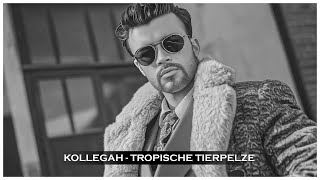 Kollegah  Tropische Tierpelze wenn es 1950 erschienen wäre [upl. by Krissie650]