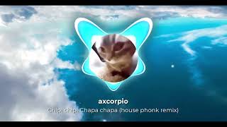 Chipi chipi Chapa chapa House phonk Remix [upl. by Persis]