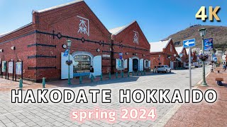 4K  2024 Hakodate Hokkaido Japan Walking tour [upl. by Amsirahc]