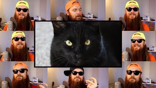 Everytime  A Failed Kitty Romance 😿 Acapella by Smooth McGroove Boy Pablo cover [upl. by Hogue428]