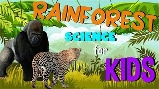 What is a Rainforest  Science for Kids [upl. by Samale]