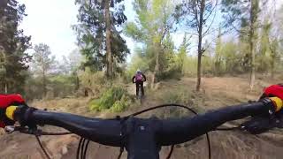 MTB endurobest run💥Specialized stumpjumper evo giant reign e3 משמר העמק 4K 60fps משמר [upl. by Raybin]