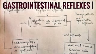 Gastrointestinal reflexes  med tutorials [upl. by Dong640]