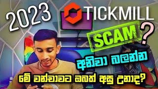 scam tickmill forex website  Tickmill Forex Website කියන්නෙ බොරුවක්ද [upl. by Haila]