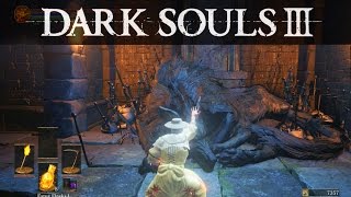 Dark Souls 3 Discovering A Secret Area  New Covenant Part 16 [upl. by Annwahs]