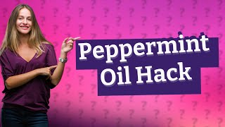 What is the best homemade rat repellent [upl. by Jacenta]