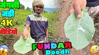 आदिवासी जंगली जड़ी का पावर ✅  Power Of Tribal Wild Herb😱 [upl. by Dinsdale]