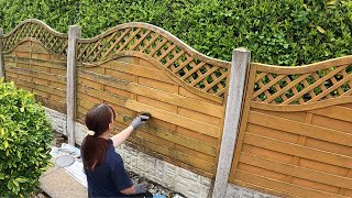 Fence Painting [upl. by Joly648]