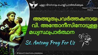 അത്ഭുതപ്രവർത്തകനായ വി അന്തോനീസിനോടുള്ള മധ്യസ്ഥപ്രാർത്ഥന  Trinity Catholic Media [upl. by Casanova]