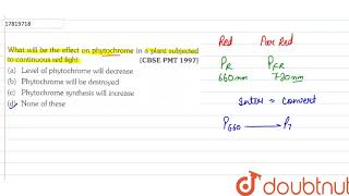 What will be the effect on photochrome in a plant subjected to continous subjected to continous [upl. by Gotthelf]