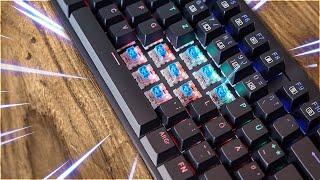 Der quot30€ GEHEIMTIPPquot der mechanischen Tastaturen BUDGET Gaming Tastatur [upl. by Maggy]