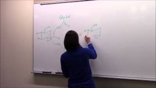 AlphaAmylase Experiment function location structure mechanism and song [upl. by Nabru11]