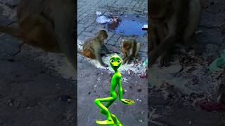 monkeys and dame tu cosita animal dance 😄😄 ytshorts [upl. by Chimene168]