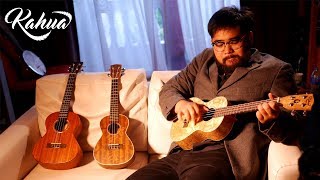 Peter Paul and Mary  500 Miles Ukulele Cover KA27 TA [upl. by Ahsielat]