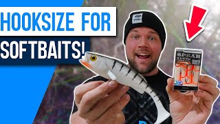 How to Choose the BEST Hooksize for BIG Softbaits [upl. by Nedearb]