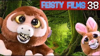 Feisty Films Ep 38 The Constipated Ape [upl. by Esimaj]