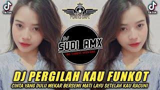 DJ PERGILAH KAU  LARISA FUNKOT TERBARU 2024  DJ CINTA YANG DULU MEKAR BERSEMI FUNKOT  DJ SUDI RMX [upl. by Mulderig]