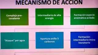 INHIBIDORES DE BETALACTAMASA PARTE 1 USO SEGURO DE ANTIMICROBIANOS [upl. by Alemahs]