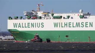 Wallenius Wilhelmsen vehicles carrier Don Pasquale comes to Baltimore Maryland March 23 2019 [upl. by Jarrell]