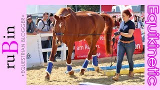 Equikinetic  Reitsportmesse Rhein Main [upl. by Eneladgam]