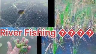 River Fishing Video [upl. by Oflodor646]