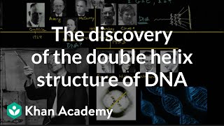 The discovery of the double helix structure of DNA [upl. by Kuhlman111]