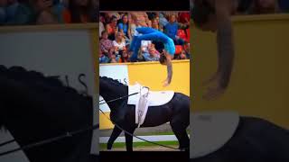 VALTING EDITTT NothingbutHayHay subscribe horse equestrain equestrainlife vaulting [upl. by Phyllys]