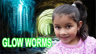 The Glow Worm Tunnel With Zoe [upl. by Etnaik945]