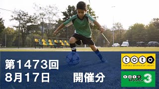 【toto】第1473回 toto予想 totoGOAL3予想も 【Jリーグ】 [upl. by Seen710]