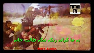 rnga bnga taleb pashto nazam naat tarana nazmona natona song nasheed [upl. by Ellebana]