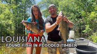 What We Caught Fishing In the LOUISIANA FLOOD WATERS [upl. by Yecac]