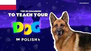 Teach Your Dog Commands In Polish 20 Common Words [upl. by Adrian]