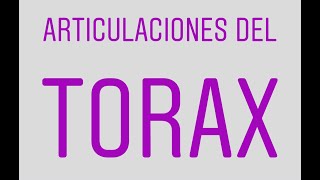 ARTICULACIONES DEL TORAX [upl. by Ewall]