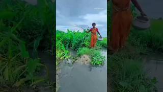 Unbelievable Hook fishing method🐟challenge hook fishing shortsReelsfishviral video [upl. by Shabbir247]