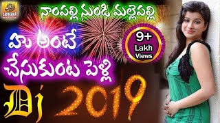 Nampally Nundi Mallepally Dj Song  2024 Dj Songs  Private Folk Dj Songs  Telangana Folk Dj Songs [upl. by Yusuk]