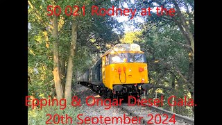 50 021 RODNEY AT THE EPPING amp ONGAR DIESEL GALA FRIDAY 20TH SEPTEMBER 2024 [upl. by Ressan410]