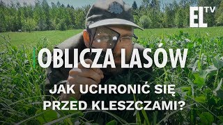 Jak uchronić się przed kleszczami  Oblicza lasów 25 [upl. by Johen463]