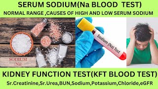 SERUM SODIUM TESTSERUM ELECTROLYTES TEST NORMAL RANGESCAUSES OF HIGH AND LOW SODIUMSYMPTOMS [upl. by Mercie]