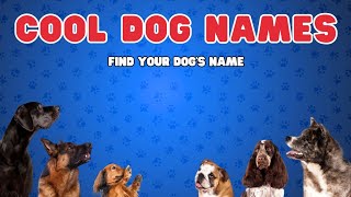 Cool Dog Names amp Meanings Find Your Pups Perfect Name [upl. by Mariquilla]