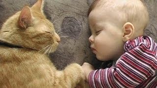 Cats Love Babies  PART 2 [upl. by Don352]