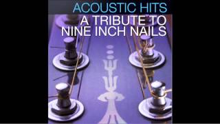 Nine Inch Nails quotRingfingerquot Acoustic Hits Cover Full Song [upl. by Garneau]