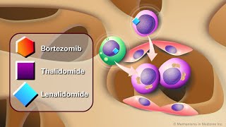 Novel AntiCancer Agents for Multiple Myeloma [upl. by Lurette]